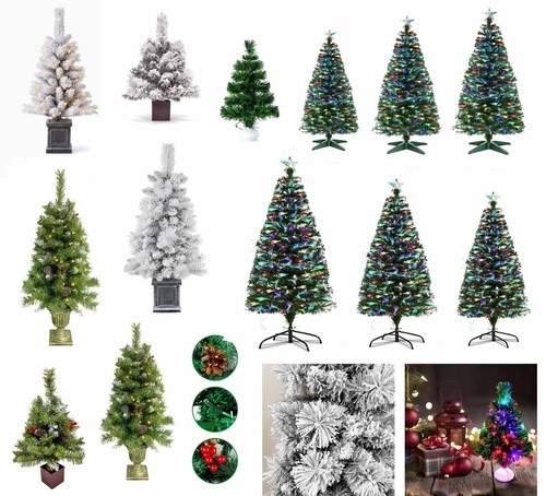 Christmas tree with - christmas, stand